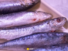 Polacy prawie jej nie jedzą, a to błąd. "Najzdrowsza ryba na świecie"