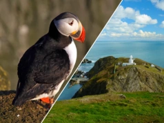 Europejska wyspa zachwyca spokojem. Mieszka na niej tylko 28 osób