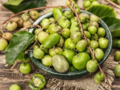 ​Szukaj w marketach na promocji. Mało znany owoc ma mnóstwo witamin