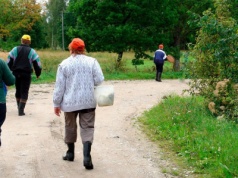 Pogoda we wtorek sprzyja grzybiarzom! W tych regionach będzie deszczowo, ale dość ciepło