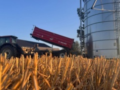 Ceny zbóż na MATIF wzrosły, na CBoT zaliczyły spadki