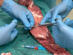 Szpital w Hajnówce pod opieką ekspertów WIM-PIB. Nowe szkolenia ratujące życie