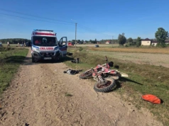 Motocyklista zderzył się z krową. Zwierzę nie przeżyło