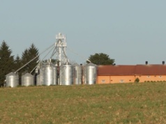 Koniunktura w rolnictwie 2025 – dane na III kwartał