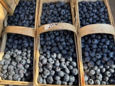 Ceny borówek Bronisze (23.09.2025) – "25 zł/kg to standardowa cena"