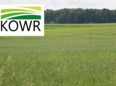 Czynsz dzierżawny w górę. Ile ziemi KOWR ma jeszcze do rozdysponowania?