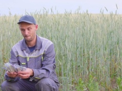 Czy zarobiłeś tyle z hektara, ile podaje GUS? W tabelkach rolnicy wyglądają na bogaczy