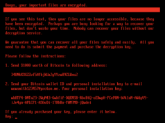 HybridPetya – Ransomware omijający zabezpieczenie UEFI Secure Boot
