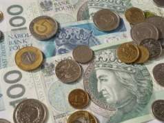 Czy wiesz, ile zarabiasz? GUS ogłosił dochód rolnika z hektara. Duża niespodzianka!