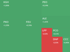 Mapa GPW: Orlen, Dekpol, Votum, Dadelo i CPD w centrum uwagi