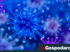 Groźna choroba atakuje na Warmii i Mazurach