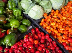 Powierzchnia ekologicznych upraw w Polsce zwiększyła się w 2024 r. o 8,7 proc.