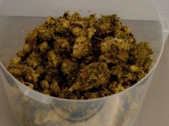 Konin. 25-latek przekroczył prędkość na hulajnodze i trafił do aresztu