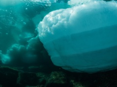 Sprawdzili dane z satelity i oniemieli. Chodzi o Antarktydę