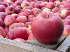 W sierpniu byliśmy drożsi od Włochów