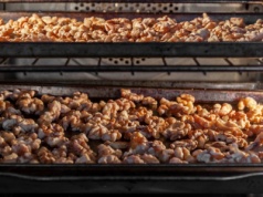 Jak prawidłowo suszyć orzechy włoskie w domu? Prosty poradnik