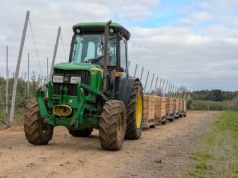„Na papierze” rolnicy to bogacze