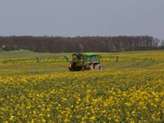 Nowa umowa UE–Indonezja. Czy olej palmowy wyprze rzepak?