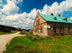 Od 30 lat prowadzi schronisko. Nie chce go oddać. Wezwano policję