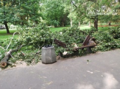 Wyrok w głośnej sprawie z 2018 roku. Ma mamę z 6 miesięcznym dzieckiem runął konar w parku. Dziewczynka nie żyje