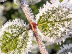 Będzie strasznie zimno. W tym regionie Polski nawet minus 10 stopni