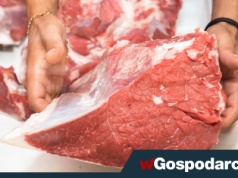 Wołowina drożeje, eksport rośnie. Co się dzieje?