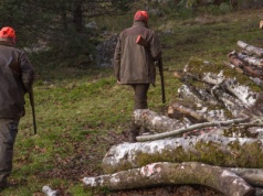 Obowiązkowe badania dla wszystkich posiadaczy broni?