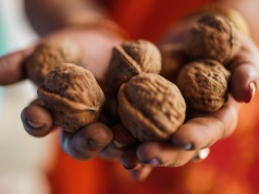 Żółte dłonie i ubrania? Skrop do wody i potrzyj. Plamy po orzechach odprysną