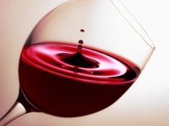 Niebawem rusza XXIV Trybunalskie Forum Trzeźwościowe oraz Pałacykowa Akademia Wolontariatu