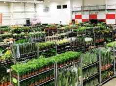 Jesienna edycja Festiwalu Roślin we Wrocławiu!