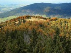 W Tatrach tłumy, a na tym szlaku pusto. Łatwa trasa i wieża widokowa na szczycie