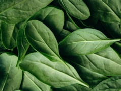 Jak dieta roślinna wpływa na serce, wagę i odporność?