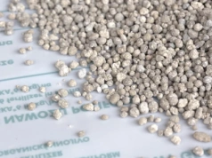 Ceny nawozów na koniec września. Ile kosztuje polifoska, a ile mocznik?