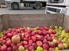 Przed nami kluczowa rozgrywka w skupie jabłek przemysłowych