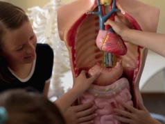 Wrocław: Z edukacji zdrowotnej rezygnują całe klasy. "Im starsi, tym mniejsze zainteresowanie"