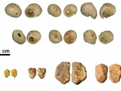 Najstarszy warsztat wytwarzający ozdoby z muszli. Pracował tam neandertalczyk czy H. sapiens?