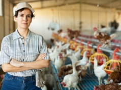 Rekompensaty dla hodowców drobiu 2025