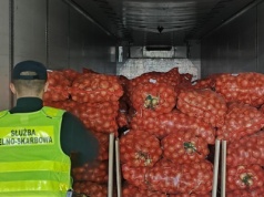 Śledczy zajrzeli do ciężarówki z cebulą. To, co odkryli, ich zszokowało. Kierowca zatrzymany