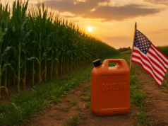 Polska traci ważny rynek zbytu. Amerykanie wypierają polskich rolników