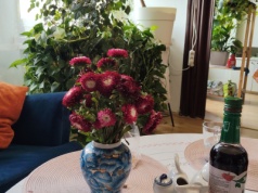 Takie sobie różności