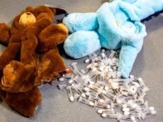 Na lotnisku w Pyrzowicach służby udaremniły przemyt mrówek. Owady były ukryte w zabawkach