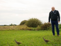 Trwa odbudowa populacji kuropatw. Dziś w naszym regionie wsiedlono 3,5 tys. tych ptaków (zdjęcia)