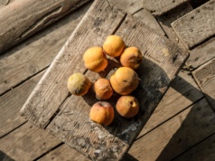 Jesienny przysmak wraca na targowiska. Lepszy niż cytryny