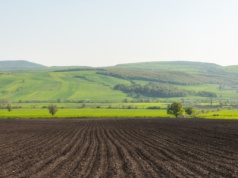 Zakaz sprzedaży gruntów możliwy aż do 2036 r. Furtką będzie uchwalony plan ogólny