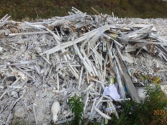 Wyprowadziła krowę i przeżyła szok – pole zasypane toksycznymi odpadami