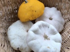 Otrzymałem od sąsiadki piękne patisony. Zamieniłem je w obiad, który zniknął w mig