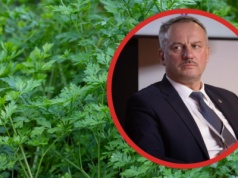 Wadliwe nasiona zrujnowały rolników. Straty sięgają nawet 50 tysięcy zł na hektar