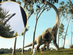 Wyjrzeli przez okno. Myśleli, że to dinozaur, ale prawda była inna