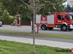 Służby zaalarmowane o niebezpiecznym ładunku