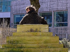 Zdjęcie Dnia. „Dama siedzi sama”